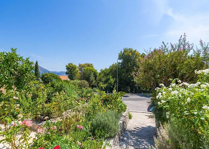 Djurkovic - One-bedroom With Shared Terrace And Sea View 米利尼